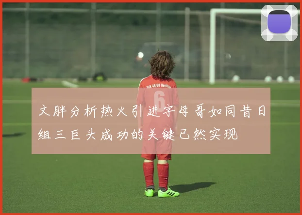 文胖分析热火引进字母哥如同昔日组三巨头成功的关键已然实现